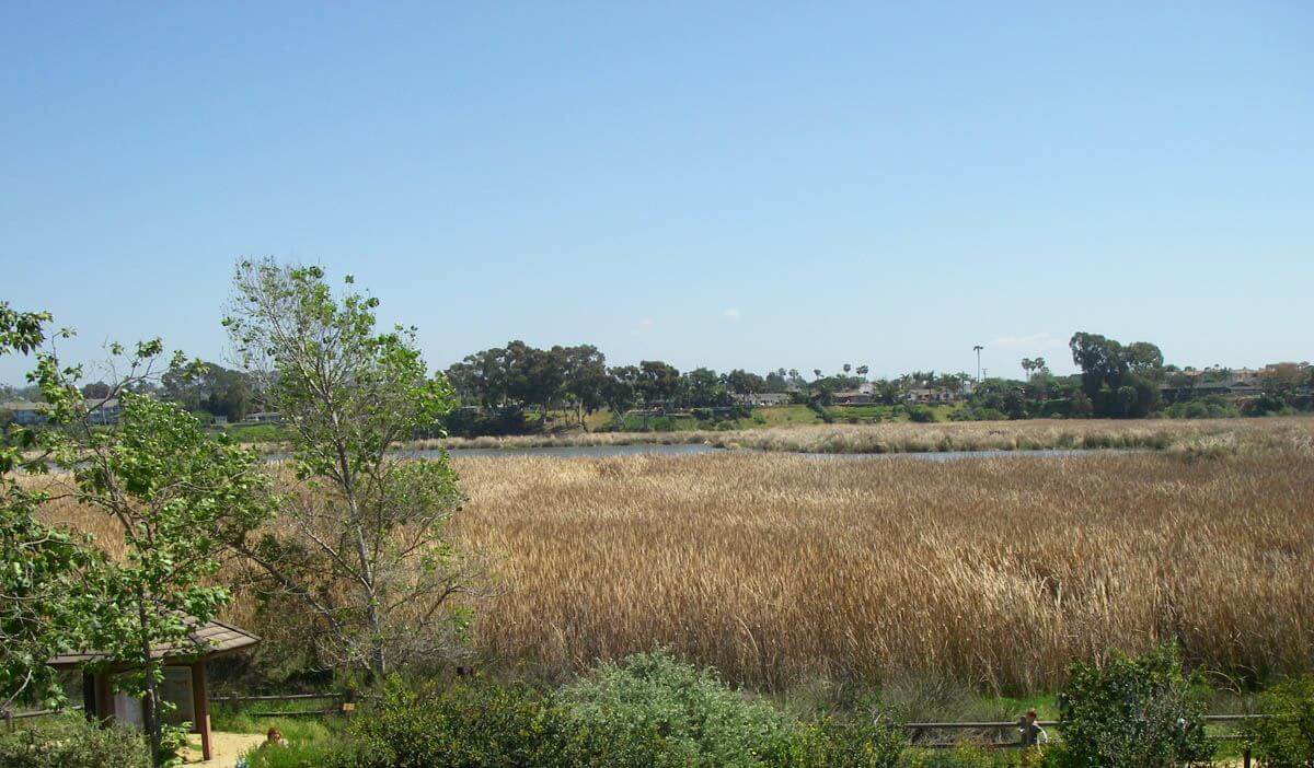 Bike to Moonlight Beach